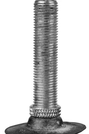 CST bib 20x1.50-2.50 schrader 40mm 40/62-406 (av40 Bestseller