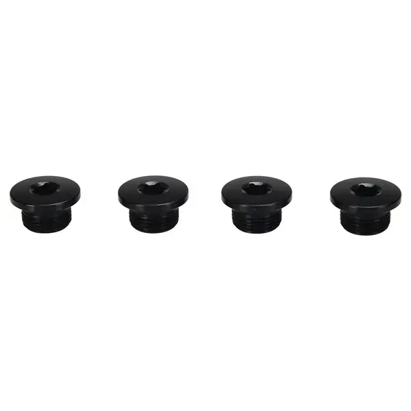 Actieprijs Campagnolo Schroeven Ekar (x4)